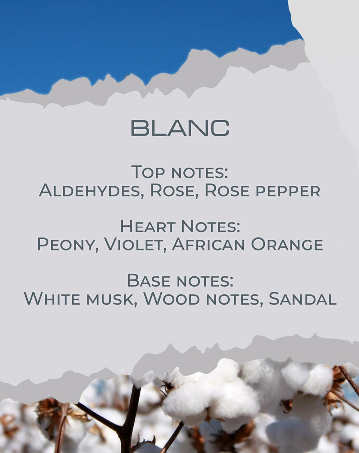 BLANC - Reed Diffuser - HARMONIA HOMES
