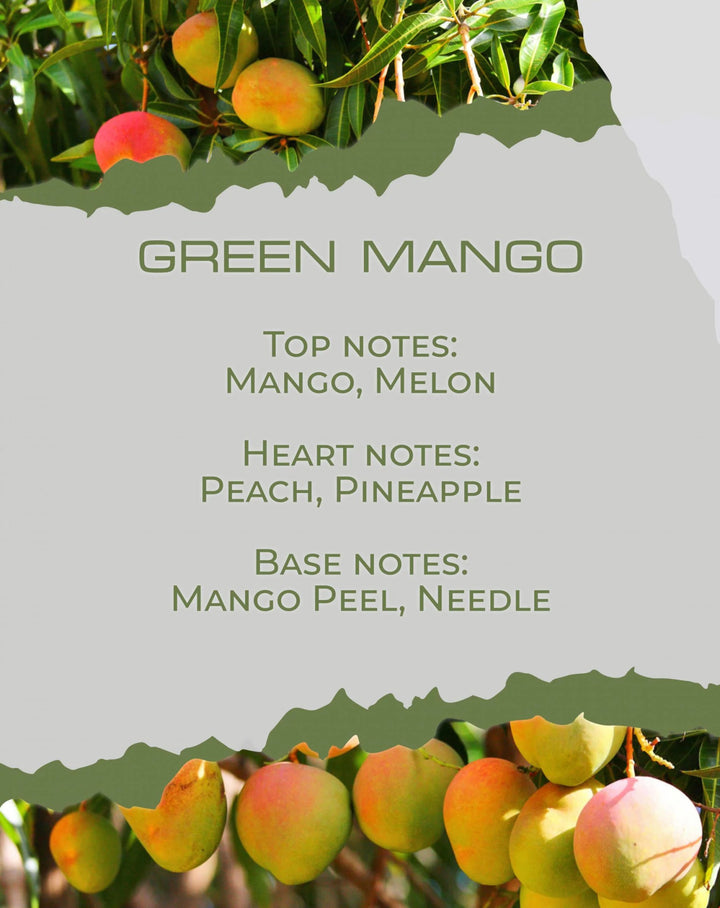 GREEN MANGO - Reed Diffuser - BY VELCHEVA