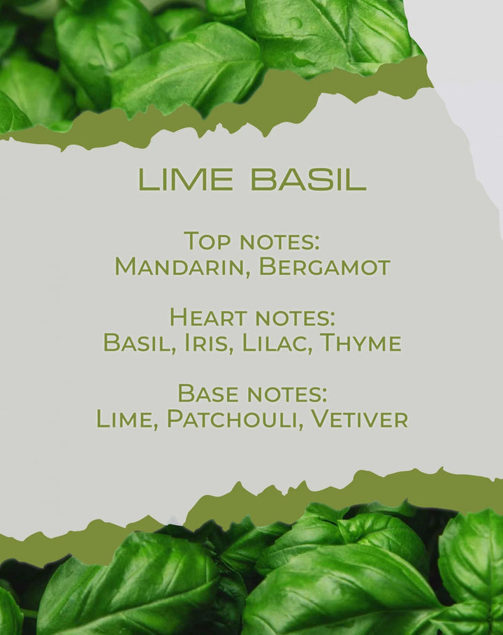 LIME BASIL - Aroma Candle - HARMONIA HOMES