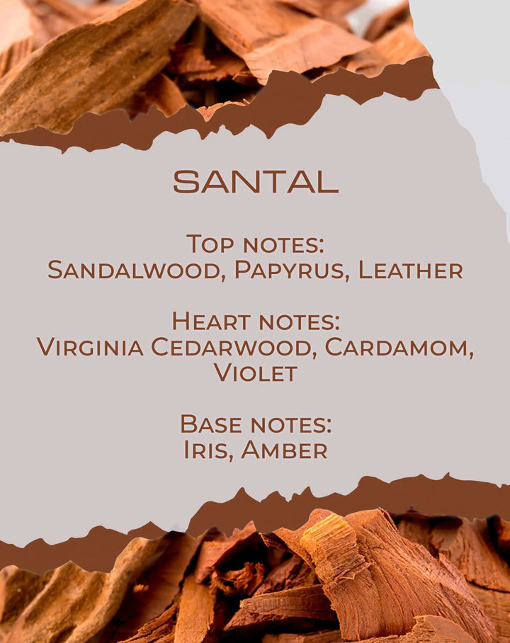 SANTAL - Aroma Candle - HARMONIA HOMES