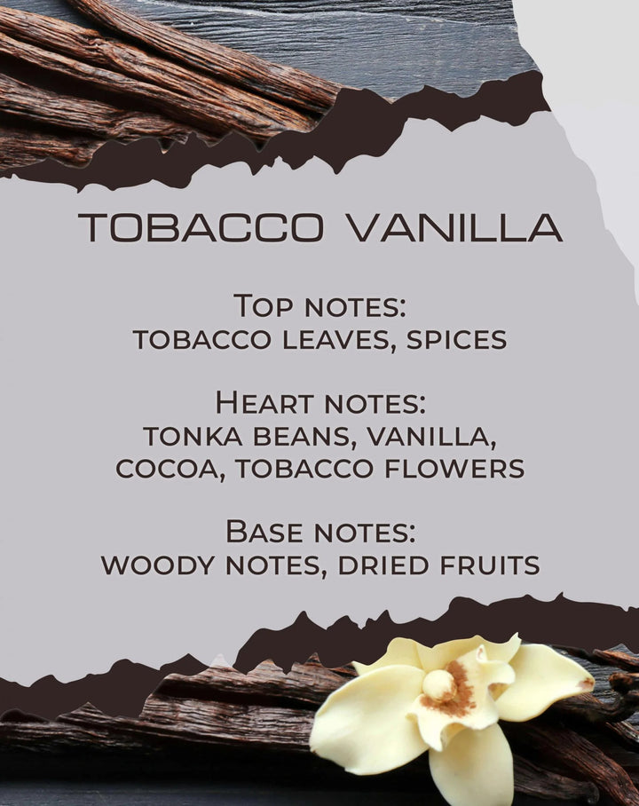 TOBACCO VANILLA - Aroma Candle - HARMONIA HOMES